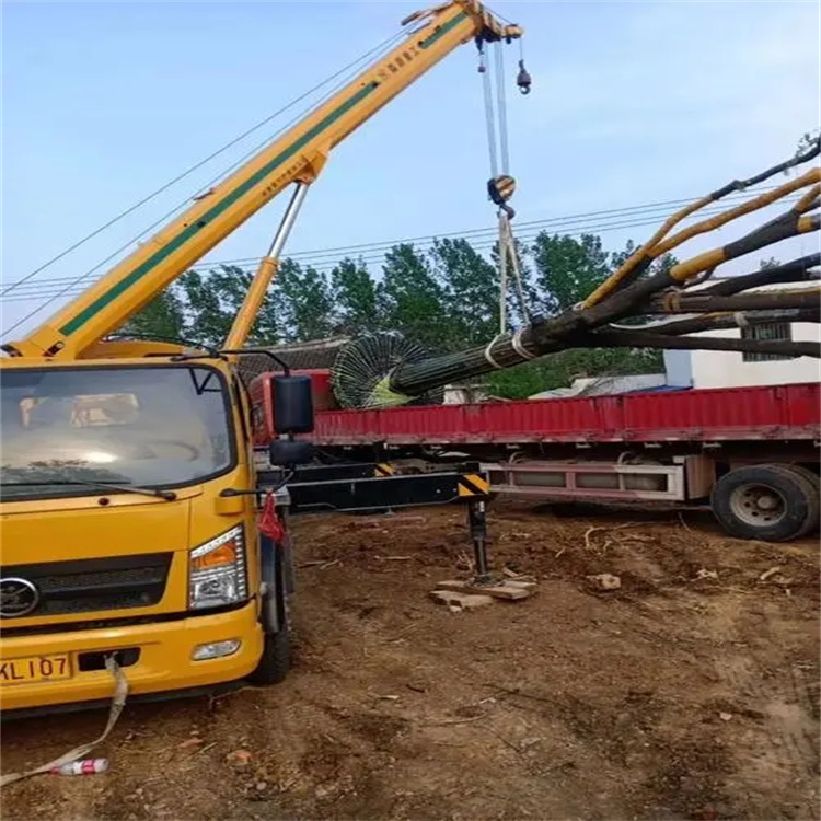 赵西垸林场100吨吊车租赁费用怎么算？3大关键因素+省钱技巧全解析